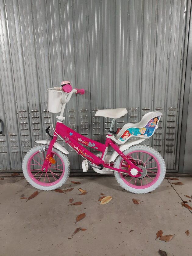 Bicicletta bambina principesse