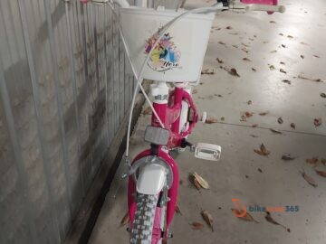 Bicicletta bambina principesse