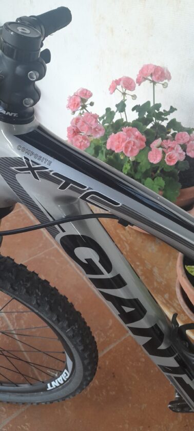 Vendo Giant 26 mis.s carbon